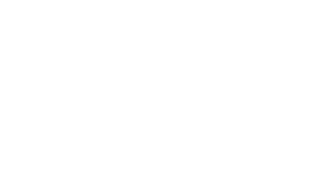 LexTok Binary AI
